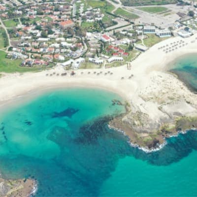 צילה אבוחצירה